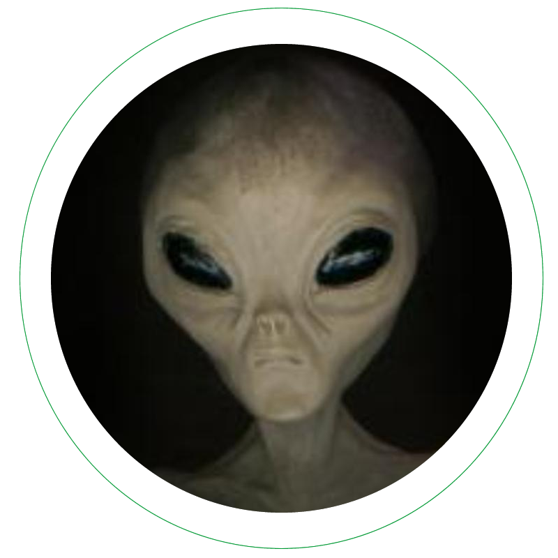 JoãoZinho (Meio) Louco